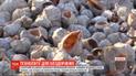 На Одещині ями на дорогах "полатали" мушлями рапанів: хто і чому вигадав таку "технологію"