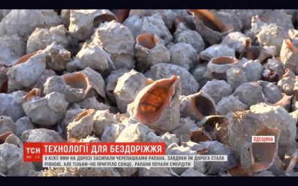На Одесчине ямы на дорогах "подлатали" ракушками рапанов: кто и почему придумал такую "технологию"