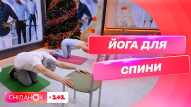 Убираем сутулость и укрепляем мышцы спины: йога против сидячего образа жизни