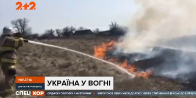 Украина в огне: из-за сжигания сухостоя во всей стране вспыхивают пожары