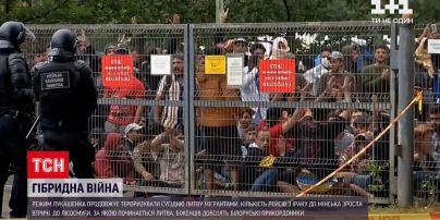 Новости мира Литва позволила пограничникам воспользоваться силой в борьбе с нелегальными мигрантами
