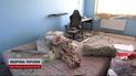 В квартире полностью выбиты окна, в помещении сплошной беспорядок