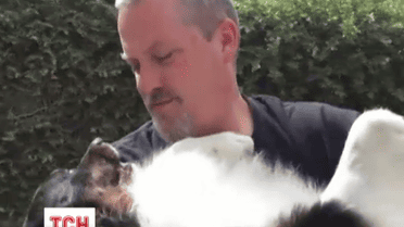 Пес с двумя носами избежал гибели и получил семью в Соединенных Штатах