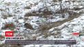 ДТП в Чернігівській області: водій збив на смерть людину та втік з місця пригоди