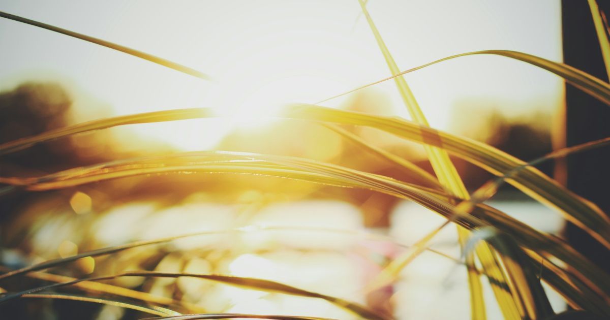 В Украине резко меняется климат, говорит метеорологиня.