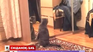 Советы суперхозяйки. Как отчистить обувь от соли