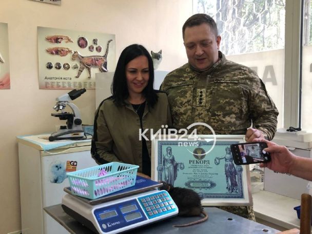 Владелец Сквиша Дмитрий служит в ВСУ / Фото: kyiv24.news