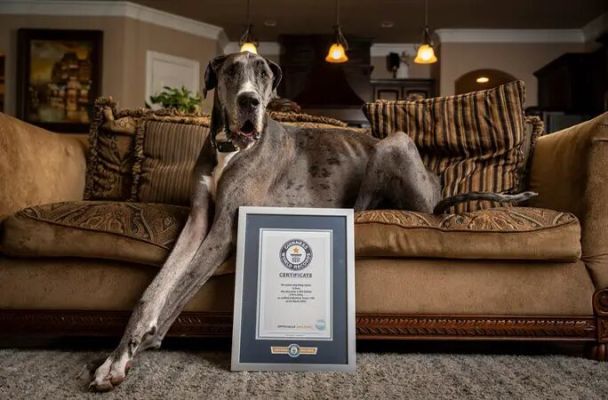 Зевс / © guinnessworldrecords.com