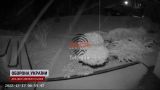 В окупованому Криму та двох російських містах – нова порція "бавовни"