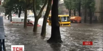 Непогода в Одессе: машины плавают в высокой воде, а поваленные деревья перекрывают улицы