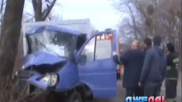 В Черкасской области «Газель» проверила на прочность дерево