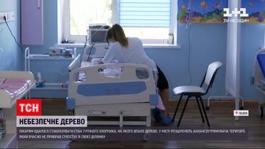 Новости Украины: состояние 7-летнего мальчика, на которого упало дерево во Львове, стабилизировалось