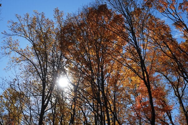 Вітер вщухне: якою буде погода в Україні 19 листопада