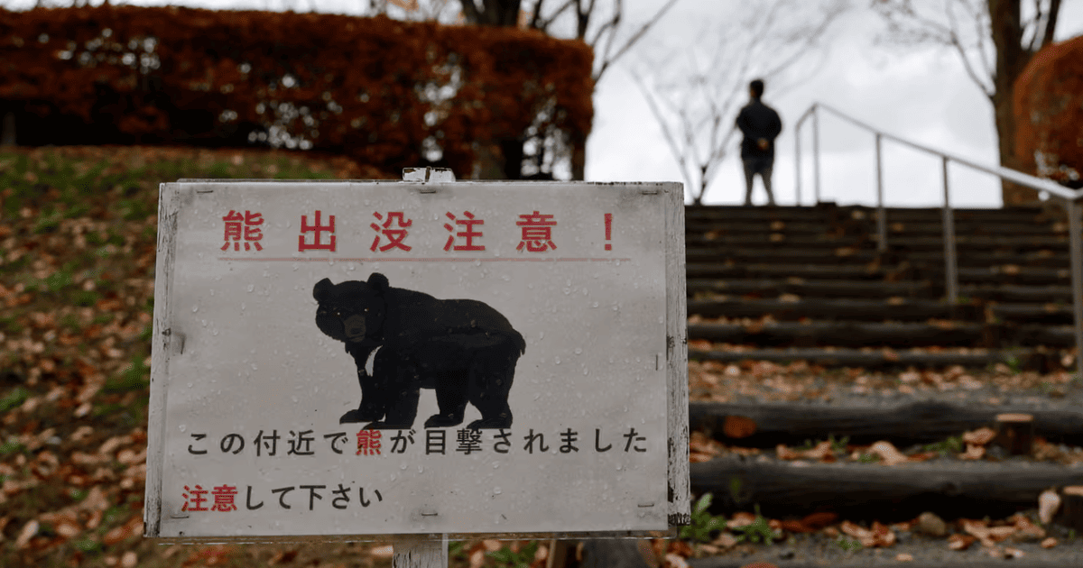 Інцидент став черговим у рекордній хвилі атак