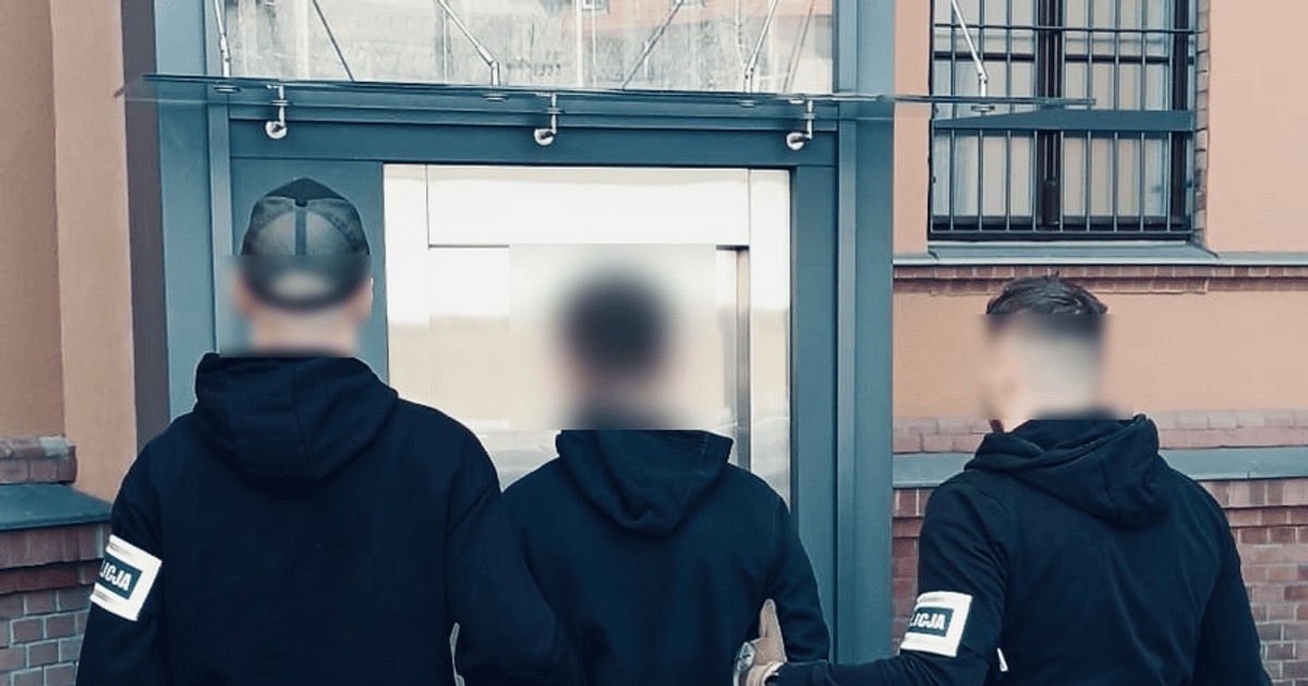 Польська поліція видворила з країни 33-річного українця за систематичні злочини