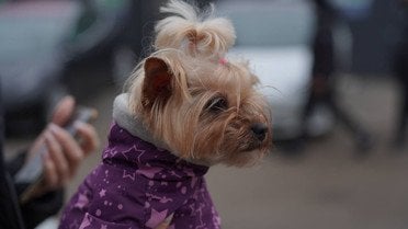 атака на Дніпро 1 грудня_9 / © Микола Лукашук, голова Дніпропетровської обласної ради