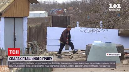 Компенсируют ли селянам из Николаевской области потерю птичьего хозяйства из-за карантина