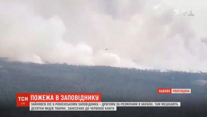 Заповедник с краснокнижными животными пылал в Ровенской области