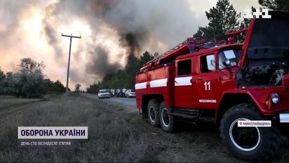 Николаевщина в огне: горит лес - все в копоти и сплошной дымовой завесе