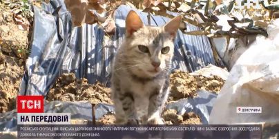 Репортаж с передовой: как пророссийские наемники провоцируют украинских военных