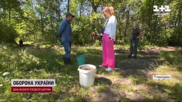 Уборка черники