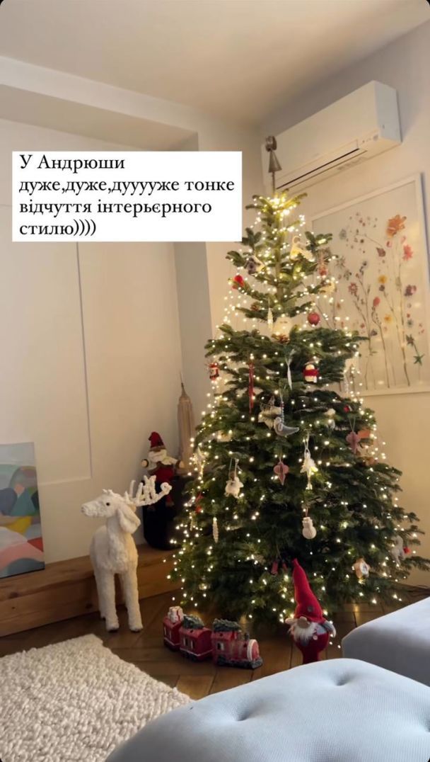 Настя Короткая показала, как украсила новогоднюю елку / © instagram.com/nastyakorotkaya