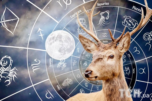 Оленье полнолуние 10 июля 2025: гороскоп для всех знаков зодиака