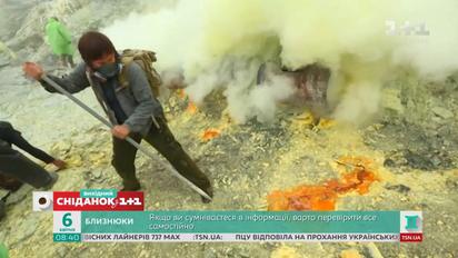 Комаров. Найкраще. Найдивніші професії різних країн