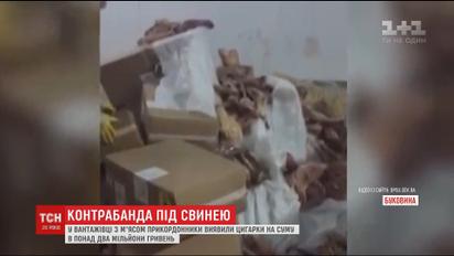 На Буковине контрабандисты спрятали более двухсот ящиков сигарет под мороженой свининой