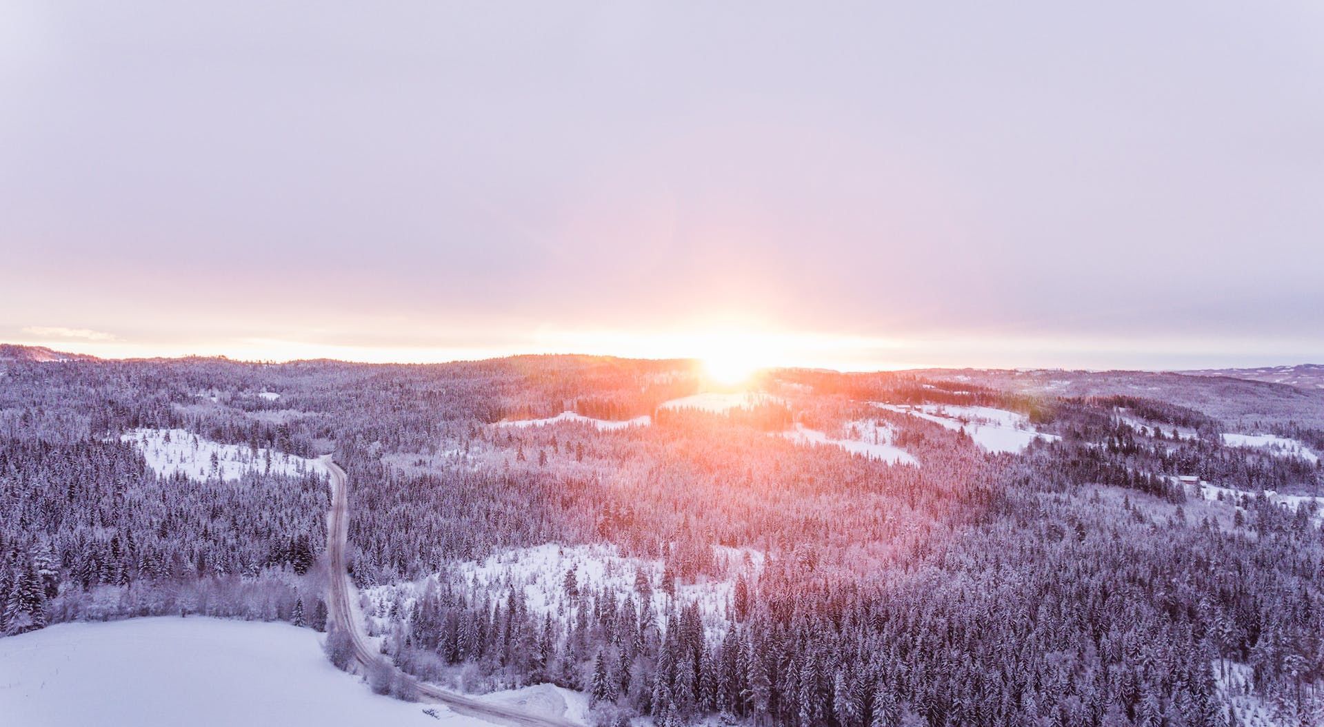 22 грудня жителі Північної півкулі святкують День зимового сонцестояння / © Pexels
