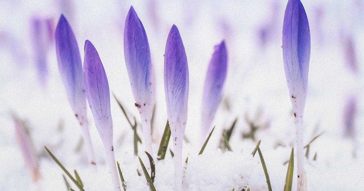 Какой сегодня, 9 марта, день ангела