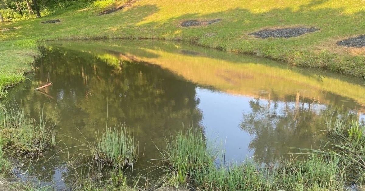 Полиция Черновицкой области.