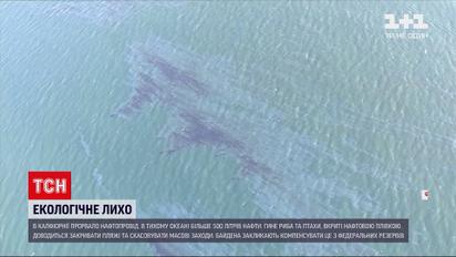 Новини світу: біля узбережжя Каліфорнії розлилася нафтова пляма
