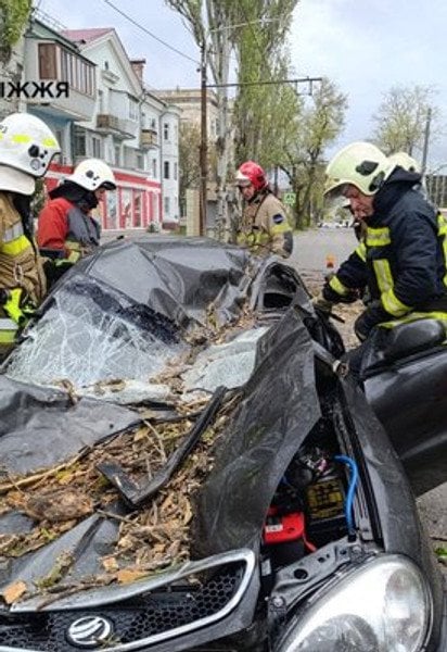 Смертельна негода у Запоріжжі: повалене дерево розчавило авто разом із водієм (фото)
