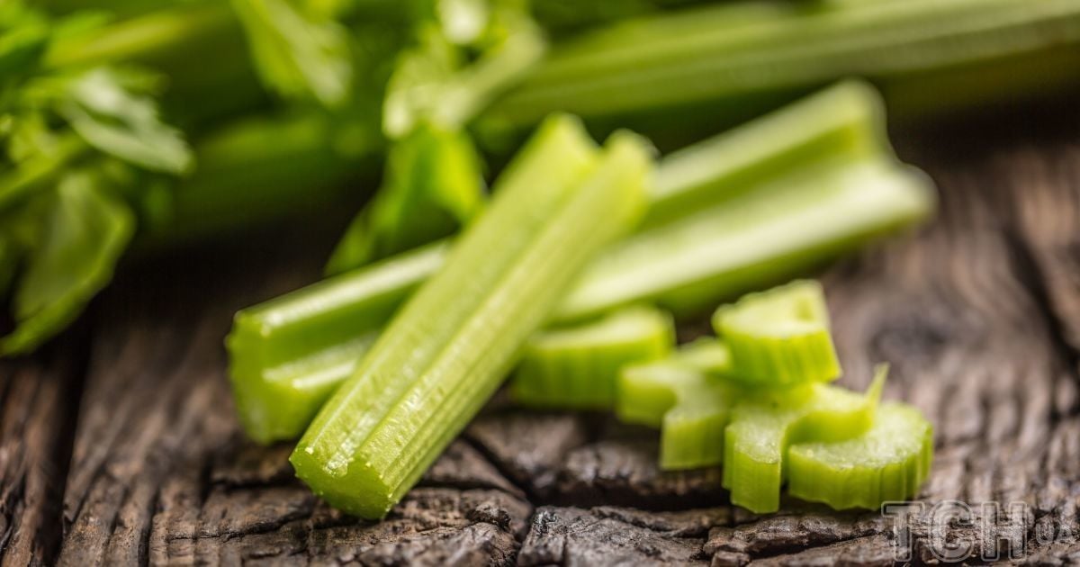 Топ-10 антицеллюлитных продуктов