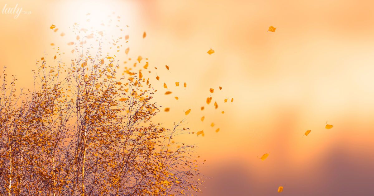 Гороскоп на 13 листопада для всіх знаків зодіаку: день, коли можна втілювати в життя складні проєкти