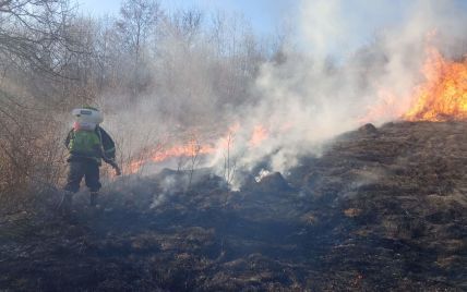 На Закарпатье мужчина поджег лес: горело около гектара территории