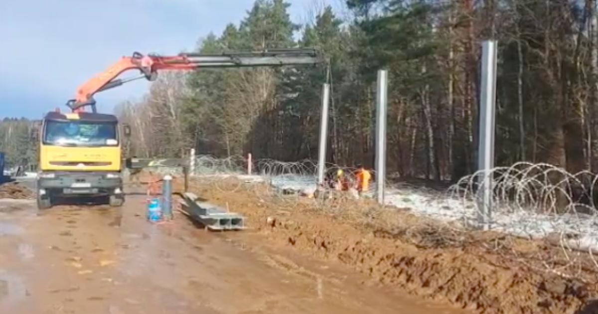 В Польше идет строительство стены на границе с Беларусью: видео