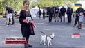 Великі собачі перегони в Мукачеві: планують встановити неабиякий рекорд!