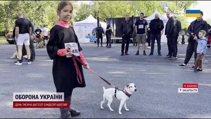 Великі собачі перегони в Мукачеві: планують встановити неабиякий рекорд!