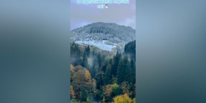 В Україні випав перший сніг