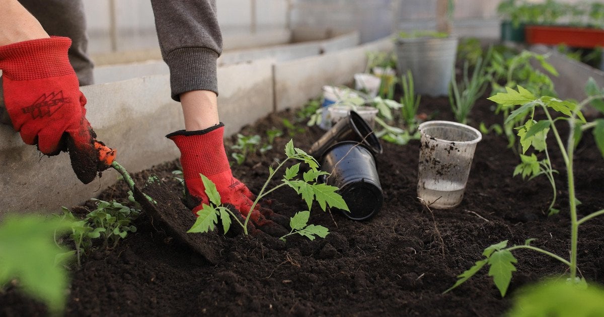 Місячний посівний календар на березень 2026 року