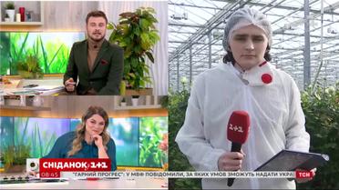 Як карантин вплинув на квітковий бізнес – пряме включення