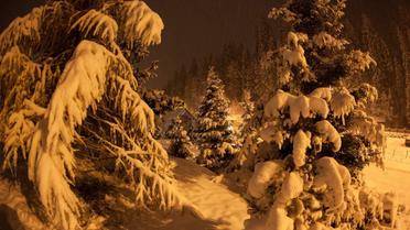 "Буковель" в Карпатах / © Буковель