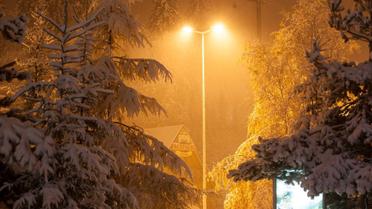 "Буковель" в Карпатах / © Буковель