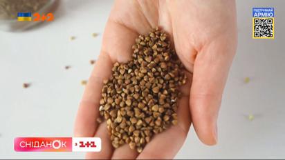 Бояться ли украинцам дефицита гречки