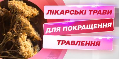 Какие травы спасут от изжоги и улучшат процесс пищеварения – советы травника Вадима Жигуна