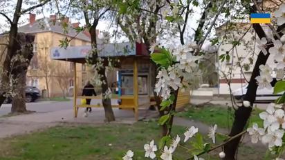 Такой весны давно не было! Погода взбесилась?!