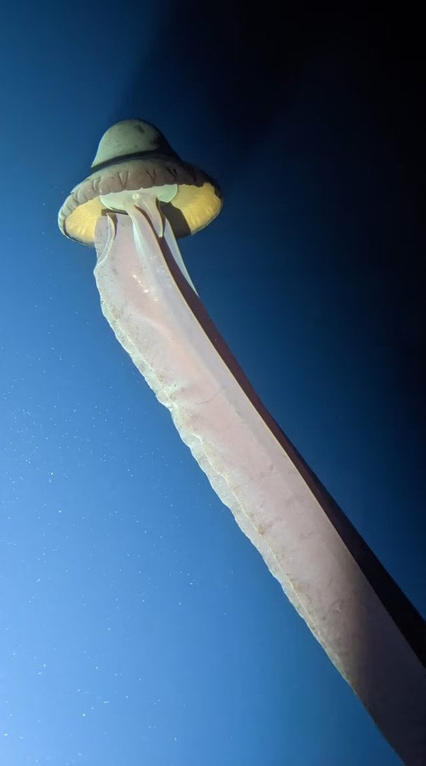 6197b3965e87e15c0babc5adebfc1e7e Економічні новини - головні новини України та світу