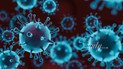 Чем опасна потеря обоняния после перенесения COVID-19